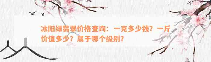 冰阳绿翡翠价格查询：一克多少钱？一斤价值多少？属于哪个级别？