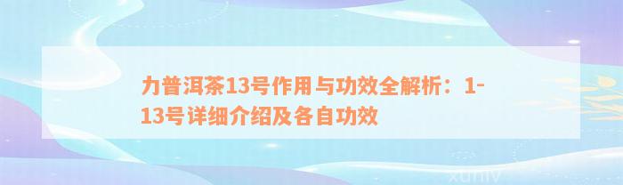 力普洱茶13号作用与功效全解析：1-13号详细介绍及各自功效