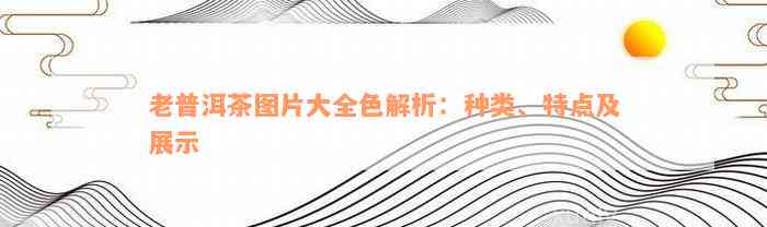 老普洱茶图片大全色解析：种类、特点及展示