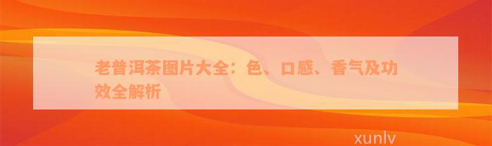 老普洱茶图片大全：色、口感、香气及功效全解析