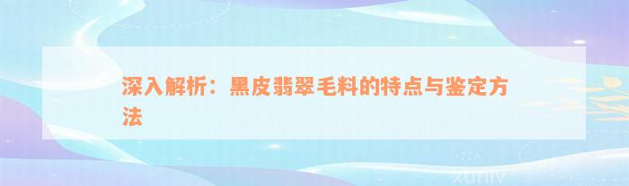 深入解析：黑皮翡翠毛料的特点与鉴定方法