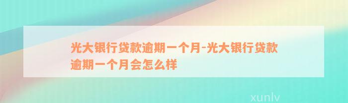 光大银行贷款逾期一个月-光大银行贷款逾期一个月会怎么样