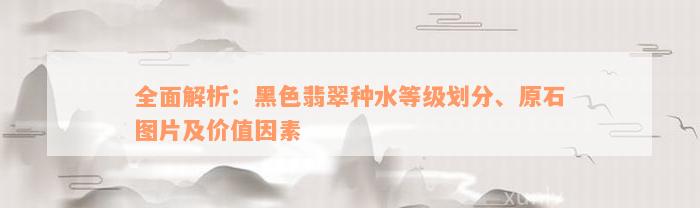 全面解析：黑色翡翠种水等级划分、原石图片及价值因素