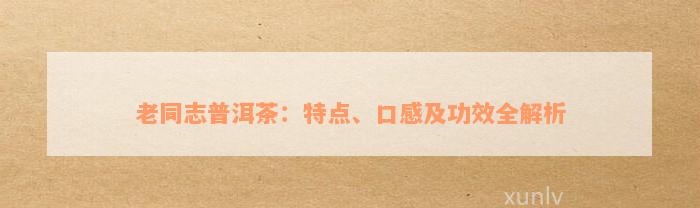 老同志普洱茶：特点、口感及功效全解析