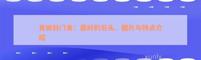 青田封门青：最好的石头、图片与特点介绍