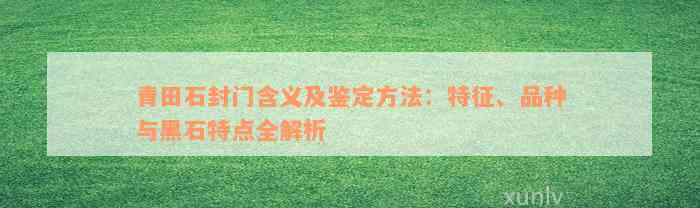 青田石封门含义及鉴定方法：特征、品种与黑石特点全解析