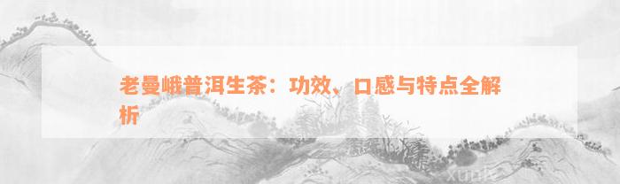 老曼峨普洱生茶：功效、口感与特点全解析