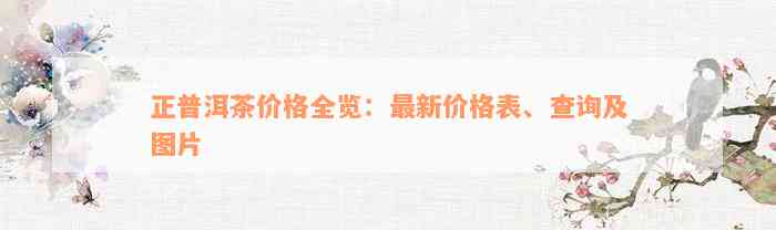 正普洱茶价格全览：最新价格表、查询及图片