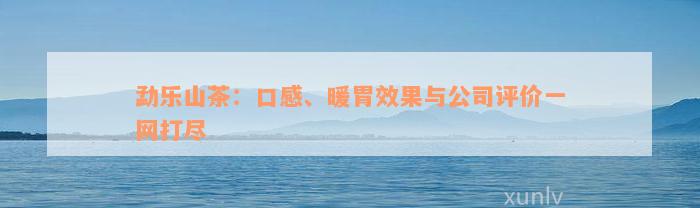 勐乐山茶：口感、暖胃效果与公司评价一网打尽