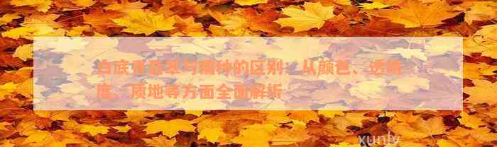 白底青翡翠与糯种的区别：从颜色、透明度、质地等方面全面解析