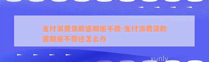 支付消费贷款逾期拒不偿-支付消费贷款逾期拒不偿还怎么办