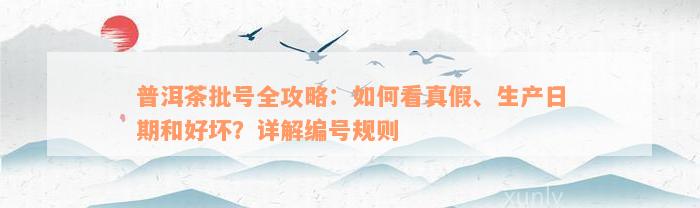 普洱茶批号全攻略：如何看真假、生产日期和好坏？详解编号规则