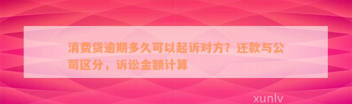 消费贷逾期多久可以起诉对方？还款与公司区分，诉讼金额计算