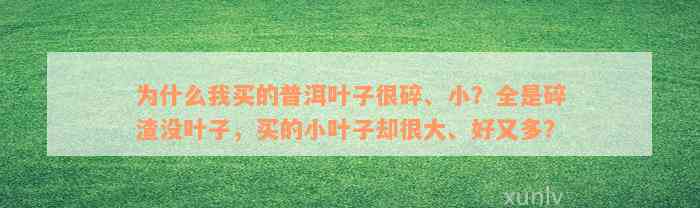 为什么我买的普洱叶子很碎、小？全是碎渣没叶子，买的小叶子却很大、好又多？