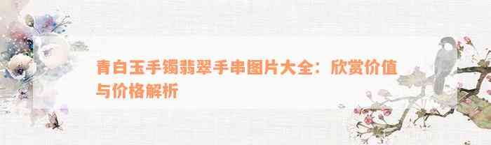 青白玉手镯翡翠手串图片大全：欣赏价值与价格解析