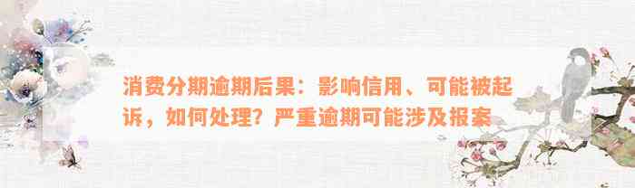 消费分期逾期后果：影响信用、可能被起诉，如何处理？严重逾期可能涉及报案