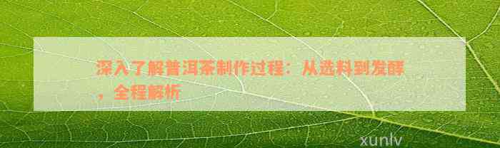 深入了解普洱茶制作过程：从选料到发酵，全程解析