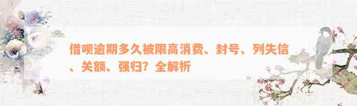 借呗逾期多久被限高消费、封号、列失信、关额、强归？全解析