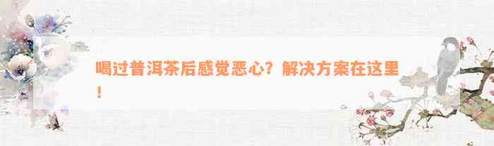 喝过普洱茶后感觉恶心？解决方案在这里！