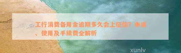 工行消费备用金逾期多久会上征信？申请、使用及手续费全解析