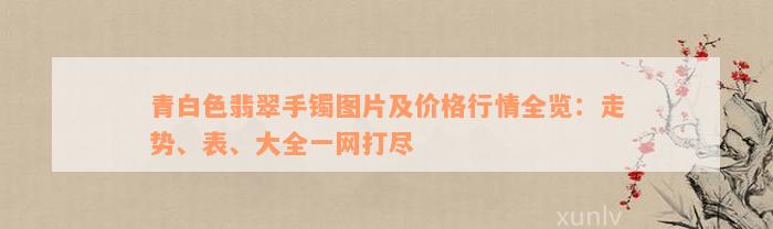 青白色翡翠手镯图片及价格行情全览：走势、表、大全一网打尽