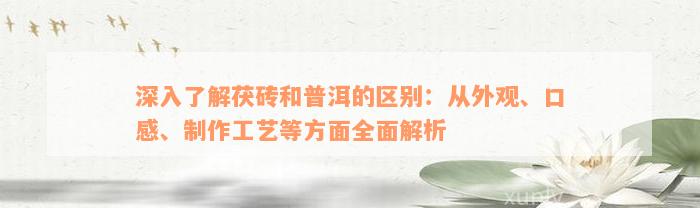 深入了解茯砖和普洱的区别：从外观、口感、制作工艺等方面全面解析