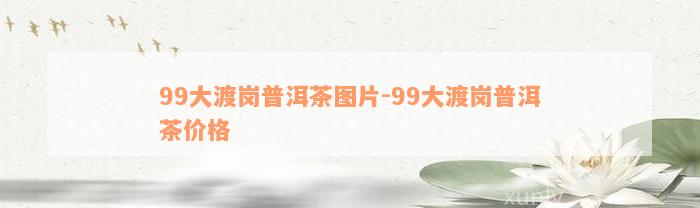 99大渡岗普洱茶图片-99大渡岗普洱茶价格