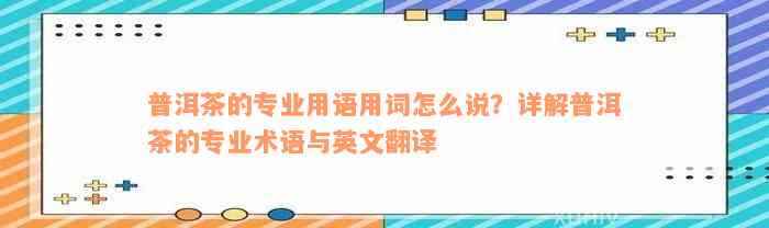 普洱茶的专业用语用词怎么说？详解普洱茶的专业术语与英文翻译