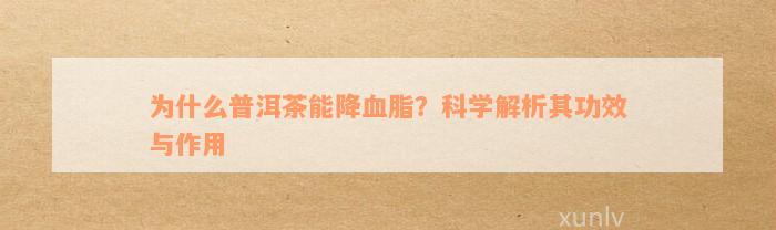 为什么普洱茶能降血脂？科学解析其功效与作用