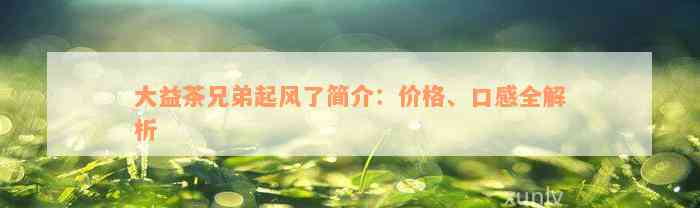 大益茶兄弟起风了简介：价格、口感全解析