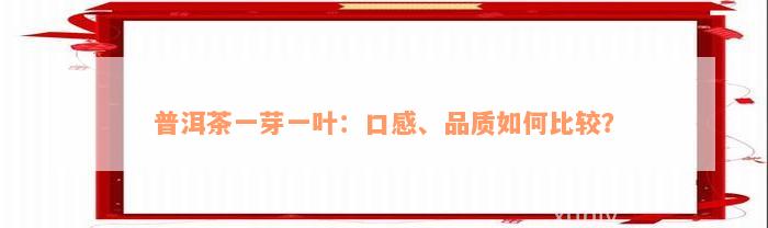 普洱茶一芽一叶：口感、品质如何比较？