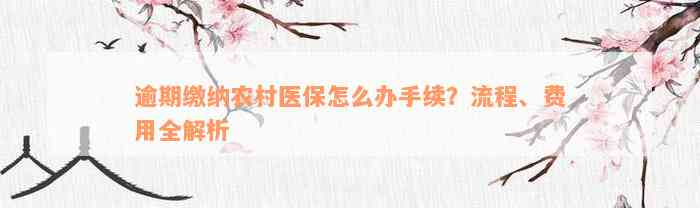 逾期缴纳农村医保怎么办手续？流程、费用全解析