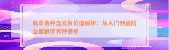 翡翠青种含义及价值解析：从入门到进阶全面解读青种翡翠