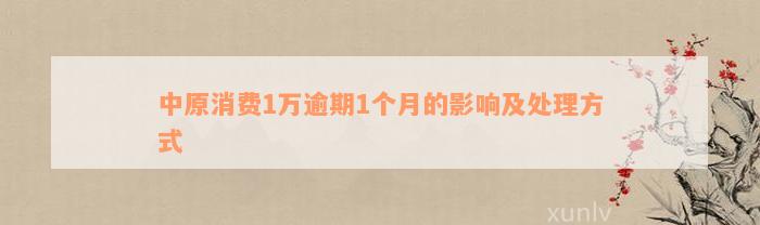 中原消费1万逾期1个月的影响及处理方式