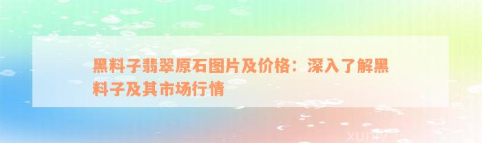 黑料子翡翠原石图片及价格：深入了解黑料子及其市场行情