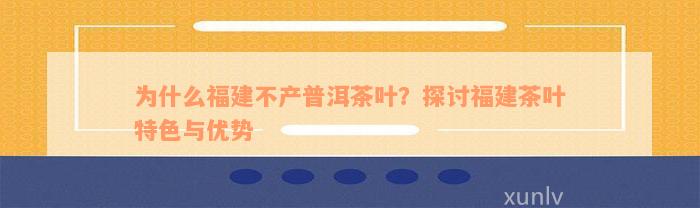 为什么福建不产普洱茶叶？探讨福建茶叶特色与优势