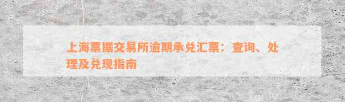 上海票据交易所逾期承兑汇票：查询、处理及兑现指南