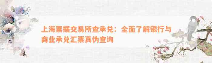 上海票据交易所查承兑：全面了解银行与商业承兑汇票真伪查询