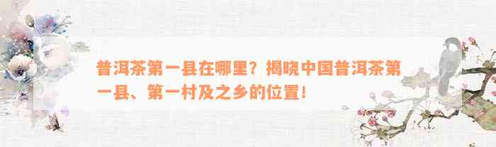 普洱茶第一县在哪里？揭晓中国普洱茶第一县、第一村及之乡的位置！