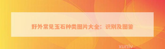 野外常见玉石种类图片大全：识别及图鉴