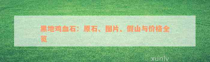 黑地鸡血石：原石、图片、假山与价格全览