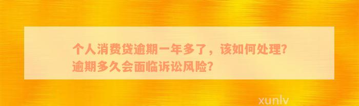 个人消费贷逾期一年多了，该如何处理？逾期多久会面临诉讼风险？