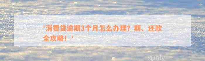 '消费贷逾期3个月怎么办理？期、还款全攻略！'