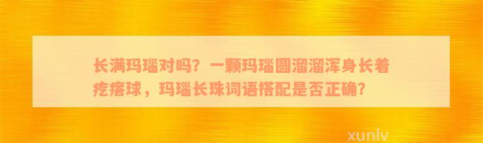 长满玛瑙对吗？一颗玛瑙圆溜溜浑身长着疙瘩球，玛瑙长珠词语搭配是否正确？