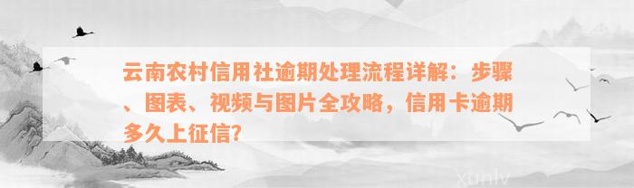 云南农村信用社逾期处理流程详解：步骤、图表、视频与图片全攻略，信用卡逾期多久上征信？