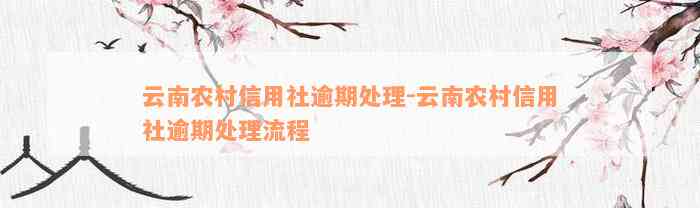 云南农村信用社逾期处理-云南农村信用社逾期处理流程