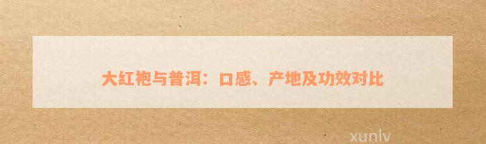 大红袍与普洱：口感、产地及功效对比