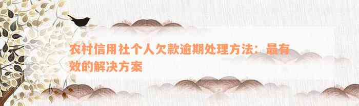 农村信用社个人欠款逾期处理方法：最有效的解决方案