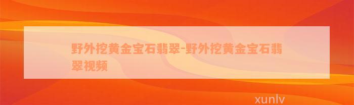 野外挖黄金宝石翡翠-野外挖黄金宝石翡翠视频