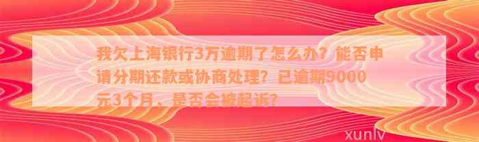 我欠上海银行3万逾期了怎么办？能否申请分期还款或协商处理？已逾期9000元3个月，是否会被起诉？